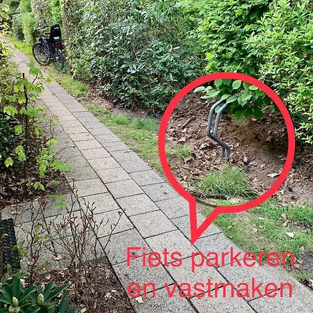 Wilde Moeflon, Geniet Van De Vrije Natuur! Otterlo Kültér fotó