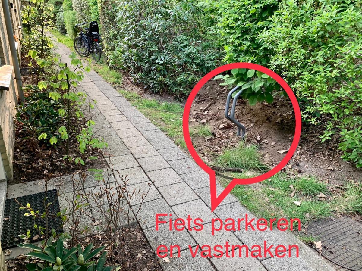 Wilde Moeflon, Geniet Van De Vrije Natuur! Otterlo Kültér fotó