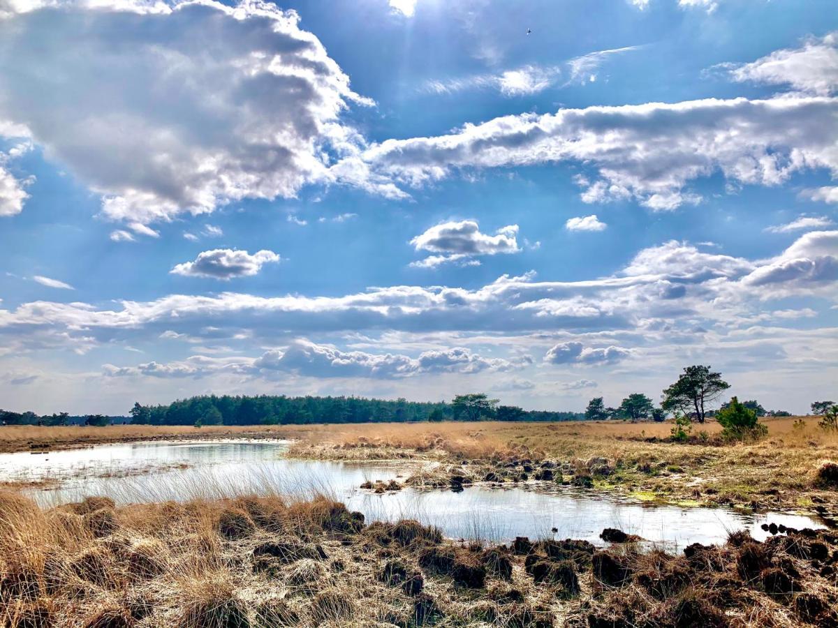 Wilde Moeflon, Geniet Van De Vrije Natuur! Otterlo Kültér fotó